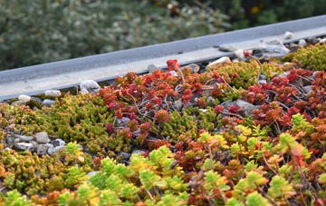 the cost of Lower Wanborough green roof installation