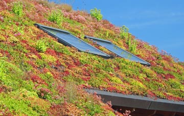 Lower Wanborough living roof systems