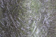 Lower Wanborough fibreglass roof work